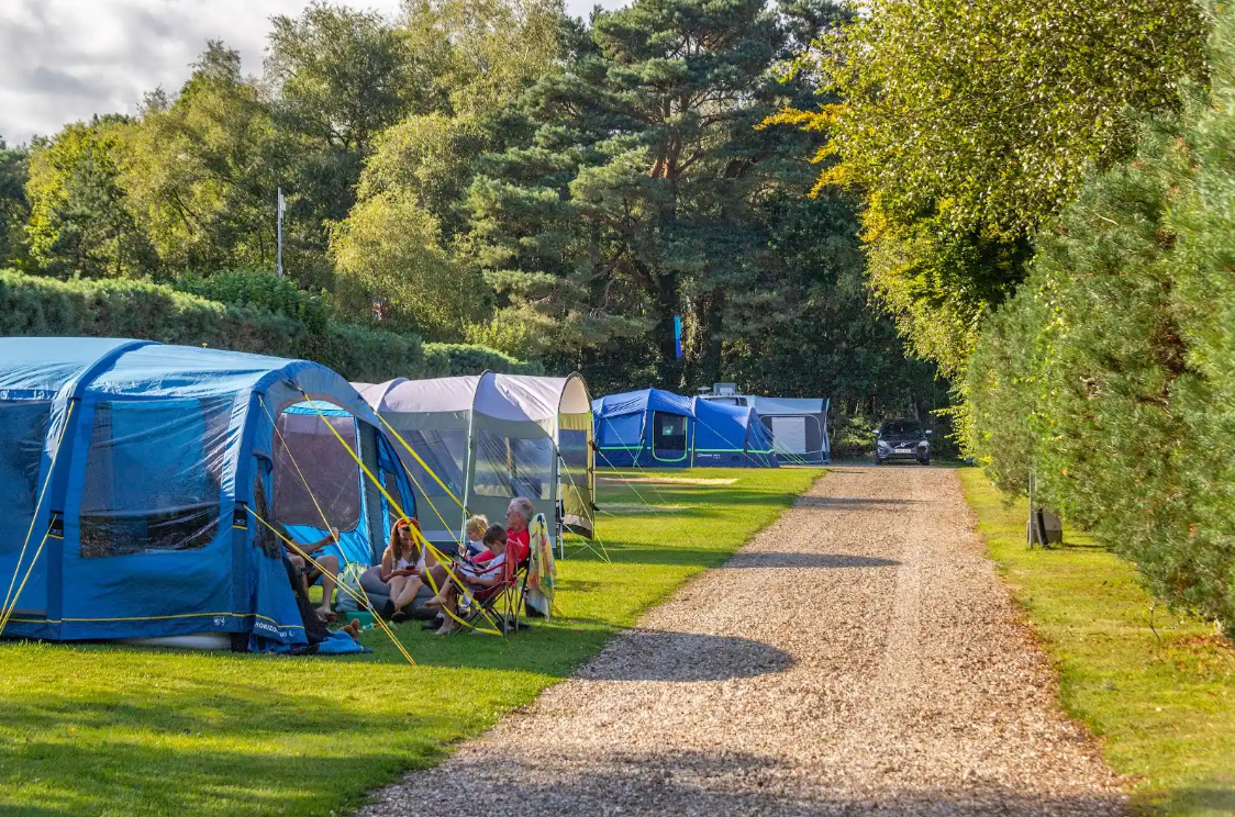 Wareham Forest Campsites